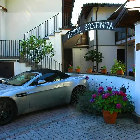 Sonenga